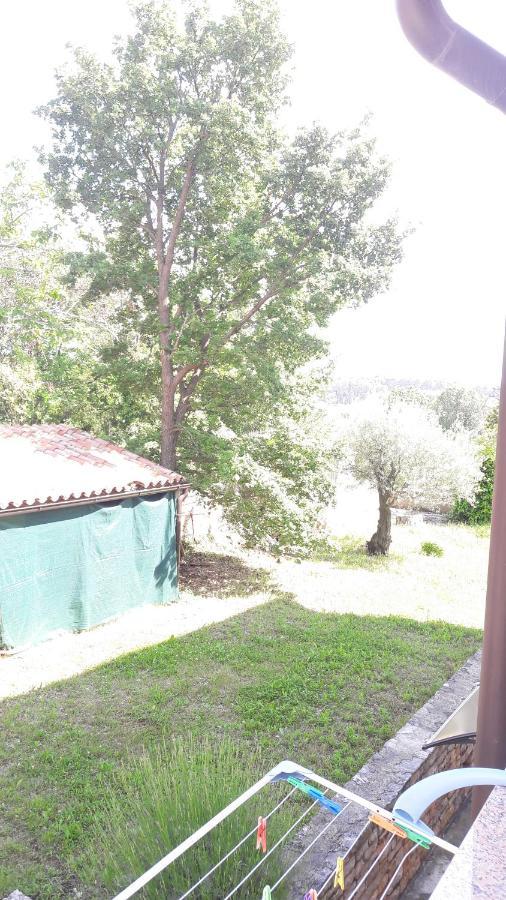 Apartment Radovan Пореч Екстер'єр фото
