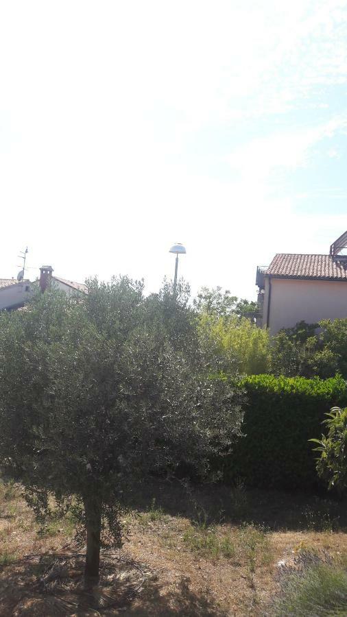 Apartment Radovan Пореч Екстер'єр фото